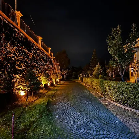 Lifoz Orman Evi Trabzon